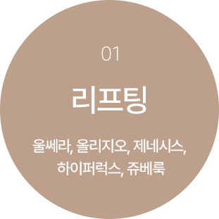리프팅 순서